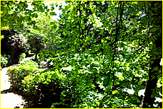 Cornwall Tourism Magazine - Meudon Hotel Garden - small